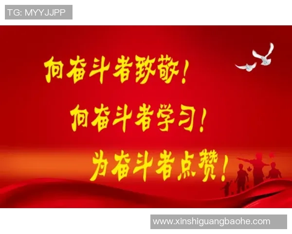 深度探讨杨军的乒乓球人生与奋斗历程的精彩故事