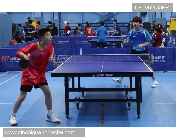 乒乓球的魅力与坚持：深入探讨广州乒乓球队的耐力训练与精神追求