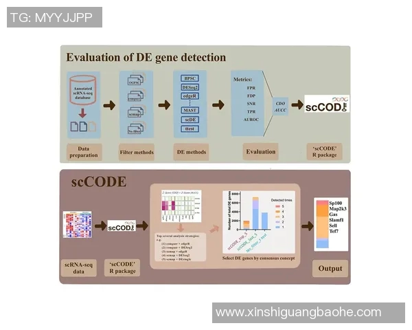 武汉排球队团队协作表现数据分析与提升策略探讨 武汉排球队团队协作表现数据分析与提升策略探讨