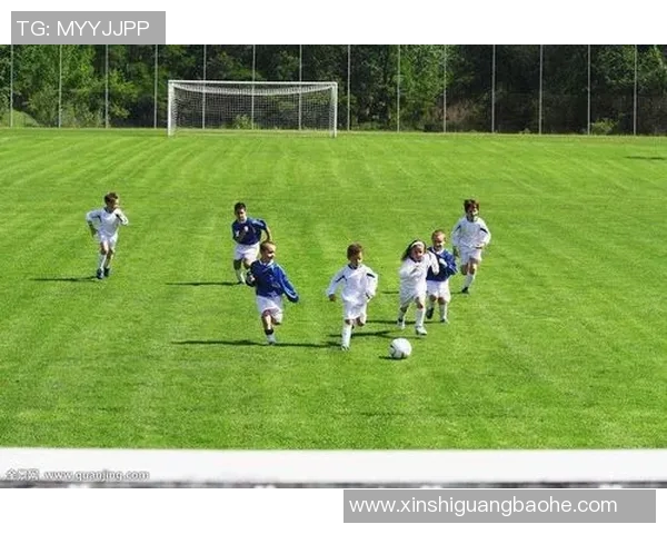 武汉足球队挑战赛的辉煌历程与崛起之路全景揭秘