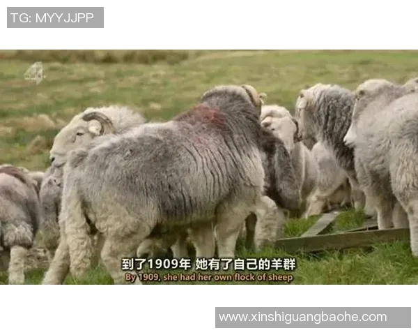 法国足球明星粉丝热情追随背后的故事与心声揭秘