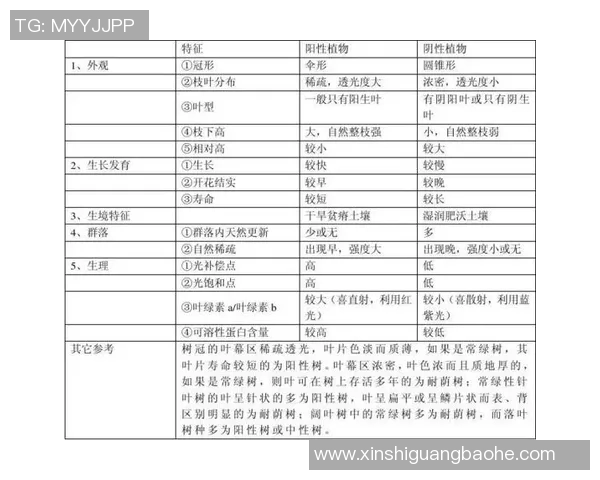 深入探讨北京网球队成员个人能力差异及其对比赛表现的影响分析