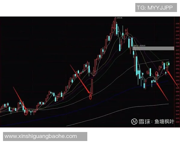 成都篮球队与深圳篮球队赛后复盘分析个人能力的较量与表现