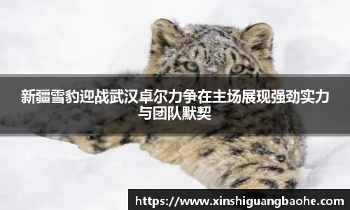 完美体育365WM平台官网